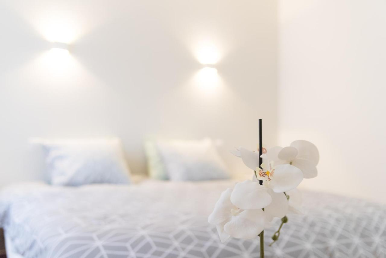 Ravissant Triplex Et Duplex Au Centre De Pont St Esprit Leilighet Eksteriør bilde